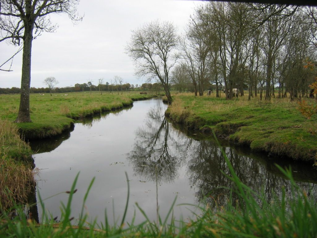 BIODIVERSITÉ