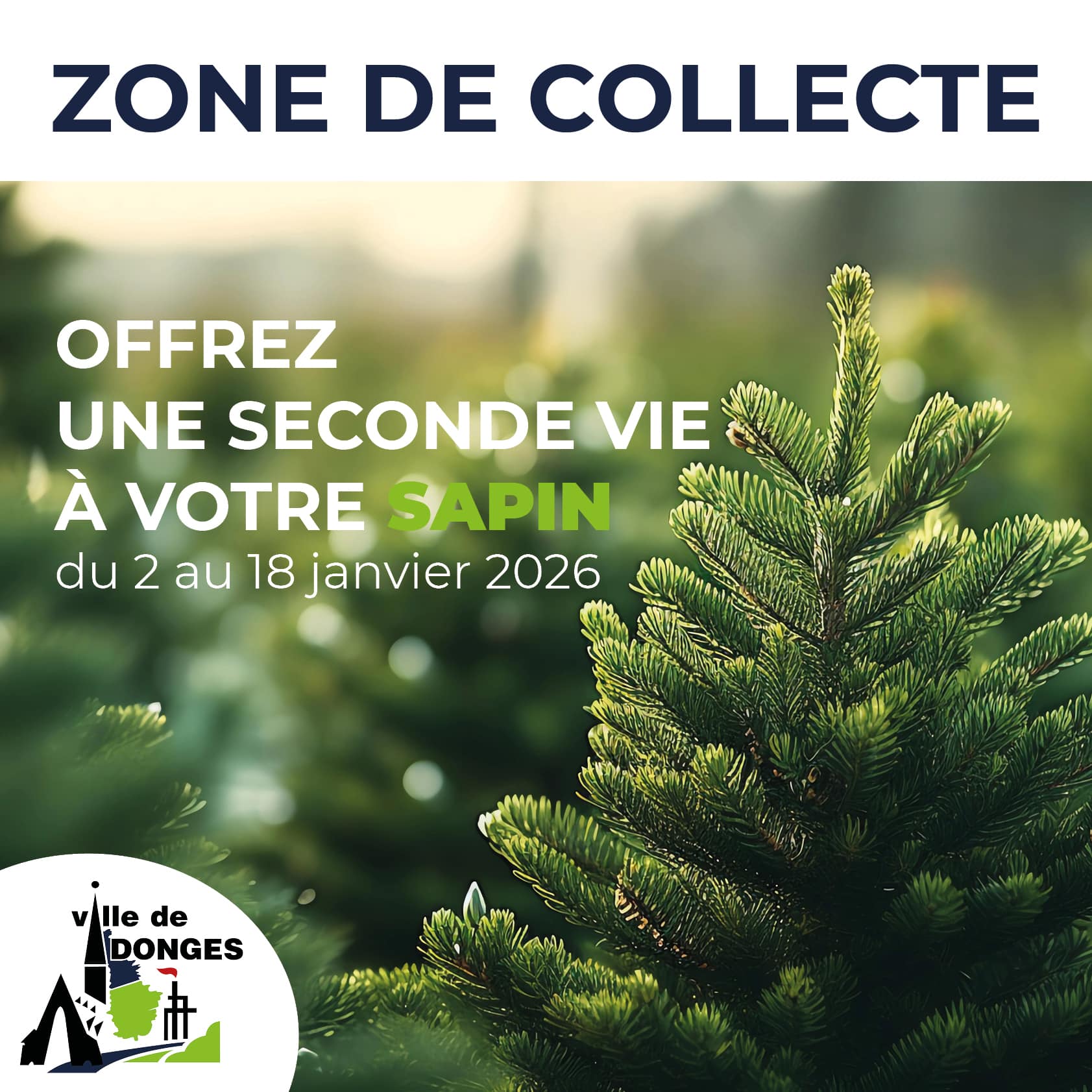 zone-depot-sapins-2026