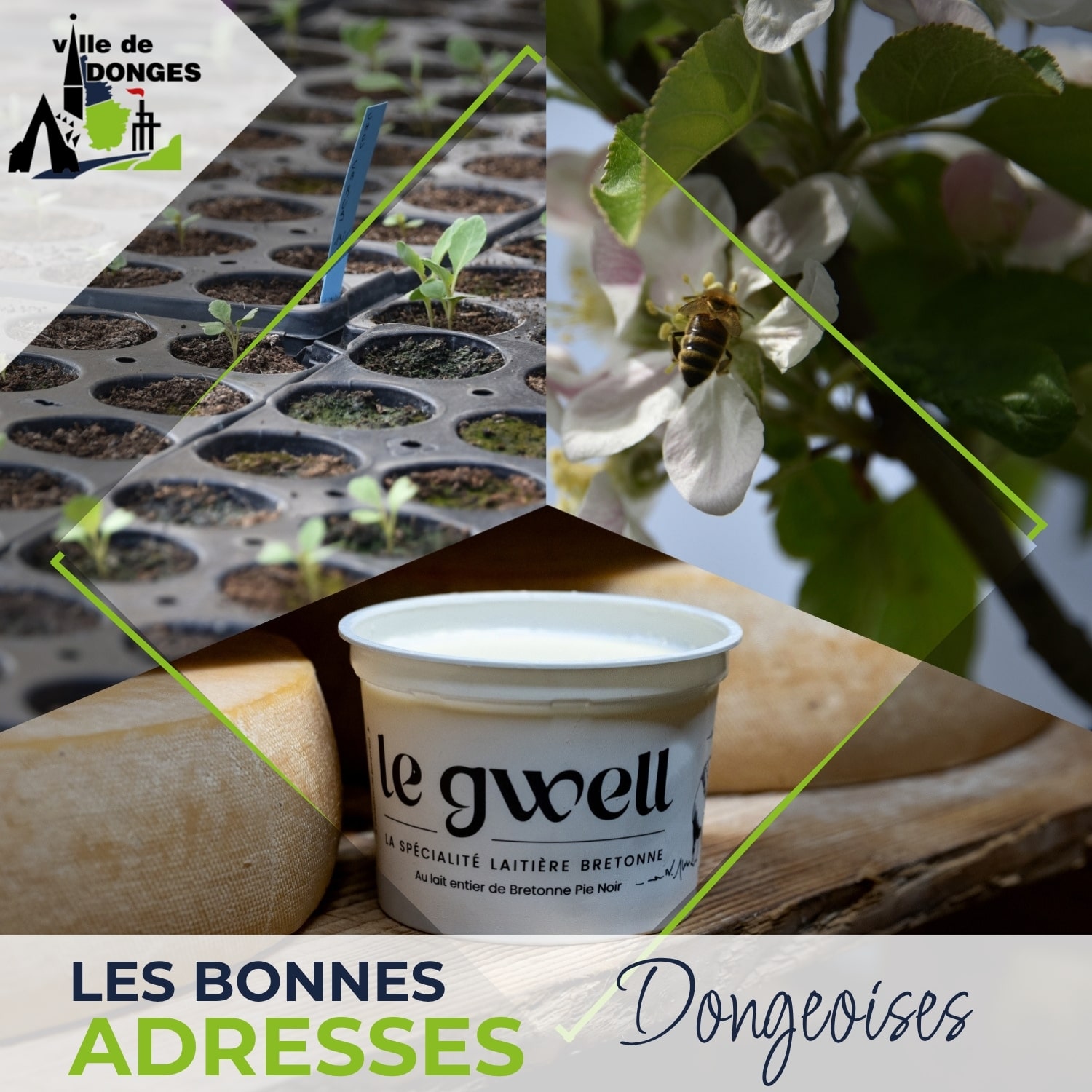 Les bonnes adresses dongeoises - manger local